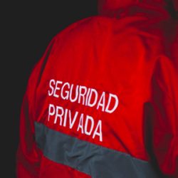 seguridad privada